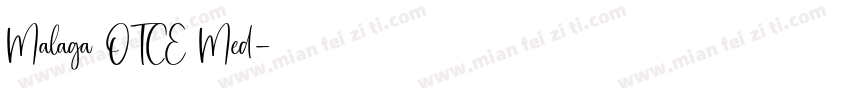 Malaga OTCE Med字体转换